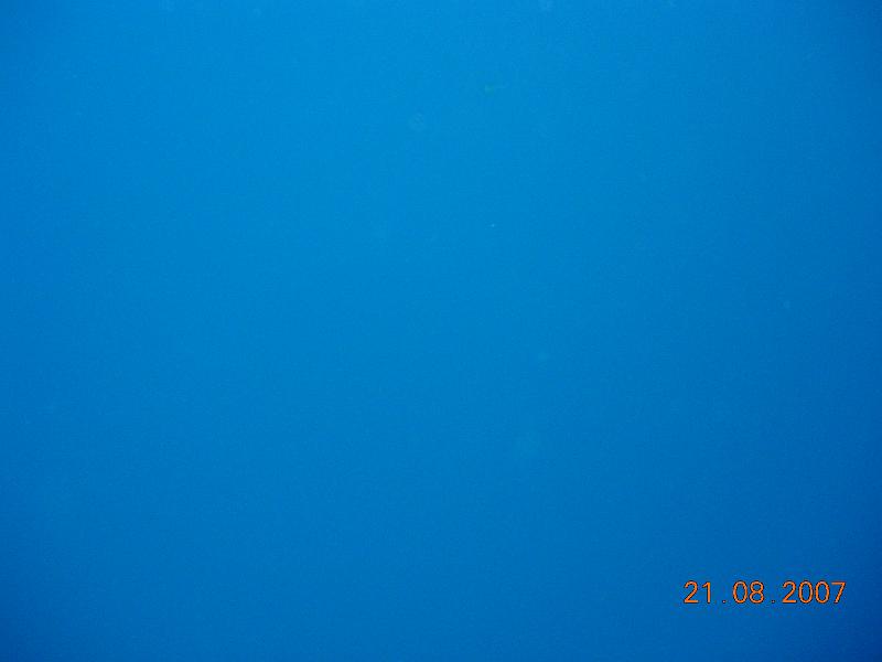 DSCN5990
